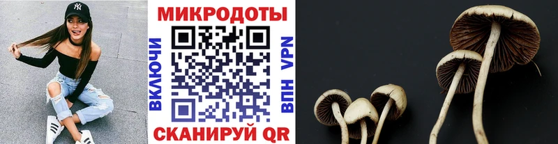 Купить закладки  Белогорск  Галлюциногенные грибы прущие грибы 